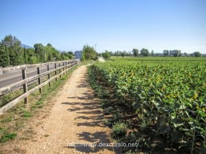 Ruta BTT de Girona a Banyoles: un clàssic circular