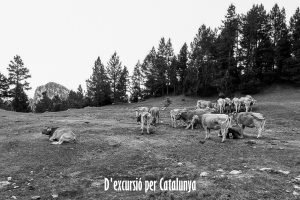 Cavalls del Vent - Etapa 01