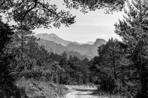 Cavalls del Vent - Etapa 3
