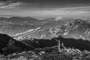 Ruta Niu de l’Àguila Serrat de les Esposes: Cavalls del Vent